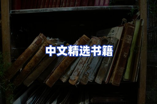 中文精选书籍